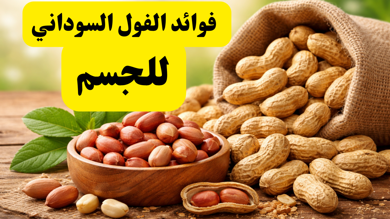 Read more about the article فوائد الفول السوداني للجسم: كنز غذائي طبيعي لصحة أفضل